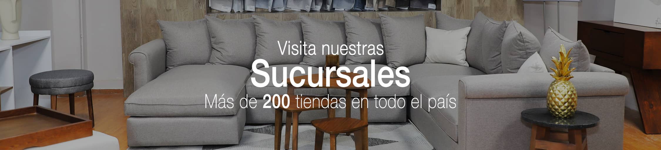thumbnail_sucursales-3