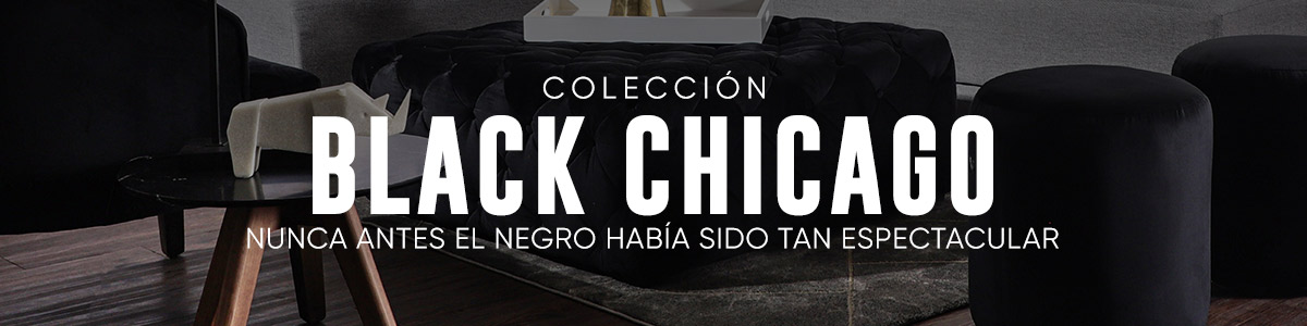 Black Chicago Black Chicago