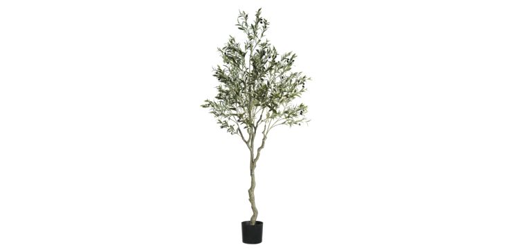Árbol Azalea Verde