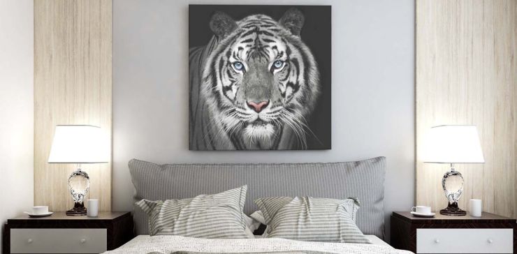 Cuadro 60 x 60 cm Tigre Multicolor
