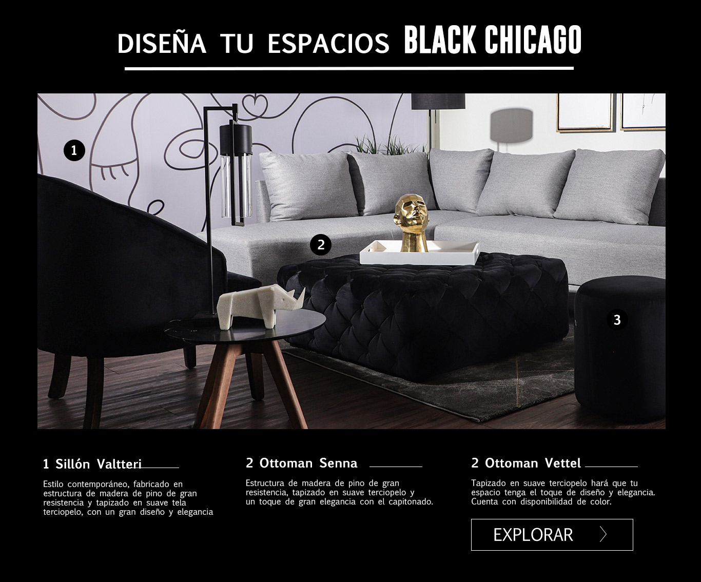 blackchicago_centro_10