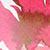 giclee_flor